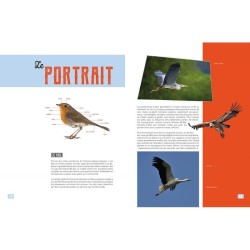 Ma petite encyclo des oiseaux Ma petite encyclo des oiseaux