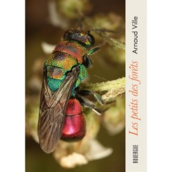 Les petits des forêts