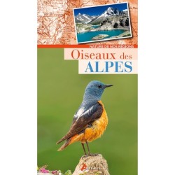 Oiseaux des Alpes - Nature de nos régions