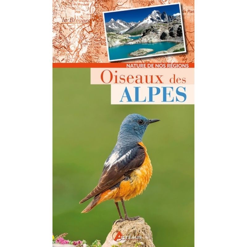 Oiseaux des Alpes - Nature de nos régions