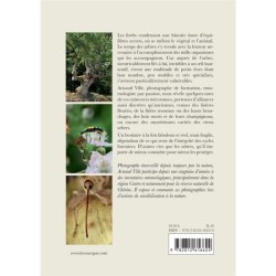 Les petits des forêts