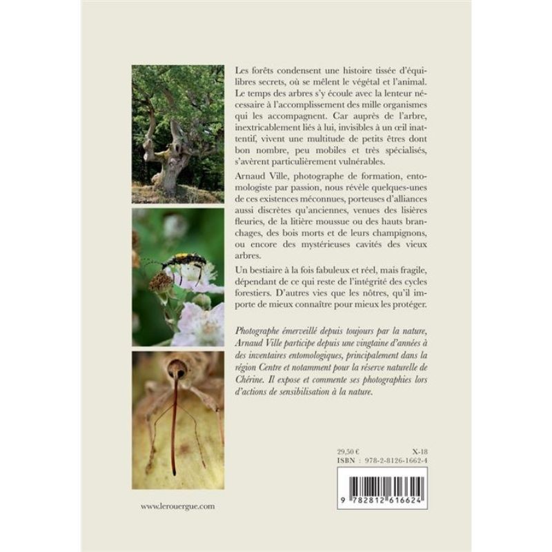 Les petits des forêts