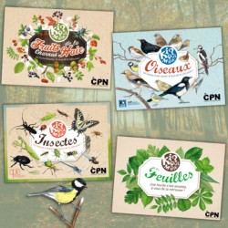 Kiquimank ? Papillons