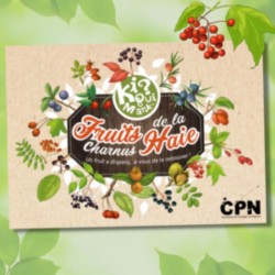 Kiquimank ? Fruits charnus de la Haie