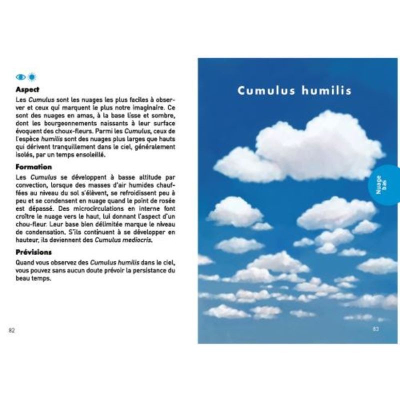 Le petit guide des nuages - Observer et découvrir un monde de rêves