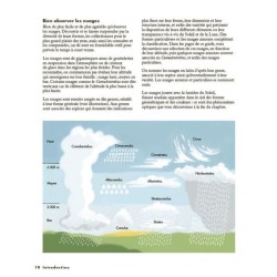 Le petit guide des explorateurs de la nature - plus de 280 espèces à découvrir