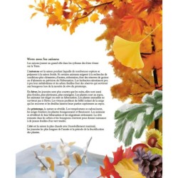 Le petit guide des explorateurs de la nature - plus de 280 espèces à découvrir