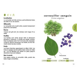 Le petit guide des arbres - 70 espèces à découvrir Le petit guide des arbres - 70 espèces à découvrir