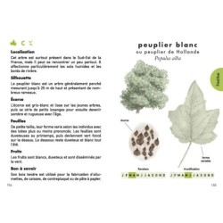 Le petit guide des arbres - 70 espèces à découvrir Le petit guide des arbres - 70 espèces à découvrir