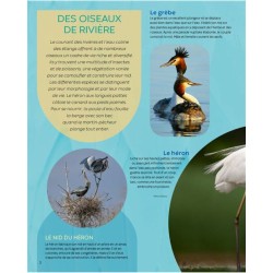 Les oiseaux - La grande imagerie