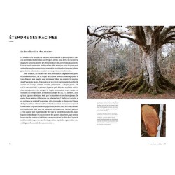 Face aux Arbres - Apprendre à les observer pour les comprendre