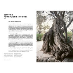 Face aux Arbres - Apprendre à les observer pour les comprendre