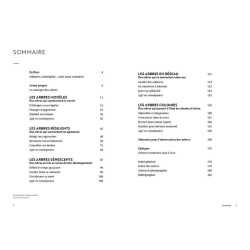 Face aux Arbres - Apprendre à les observer pour les comprendre