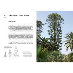 Face aux Arbres - Apprendre à les observer pour les comprendre