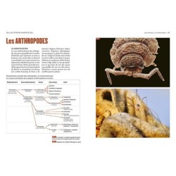 La vie du sol de nos jardins