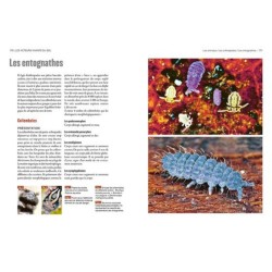 La vie du sol de nos jardins