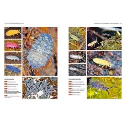 La vie du sol de nos jardins