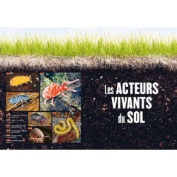 La vie du sol de nos jardins