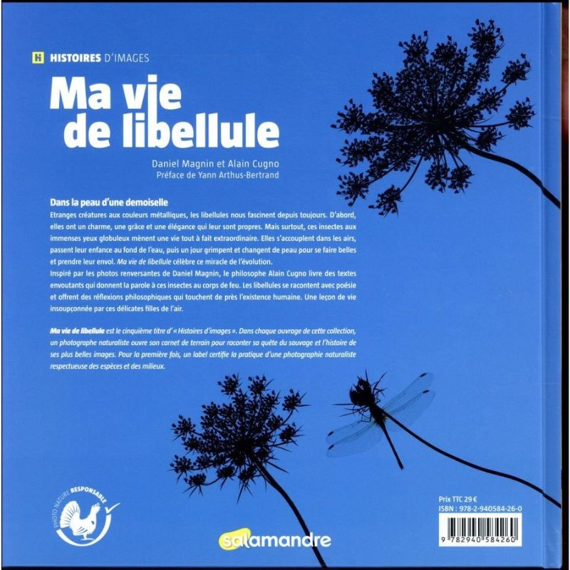 Ma vie de libellule