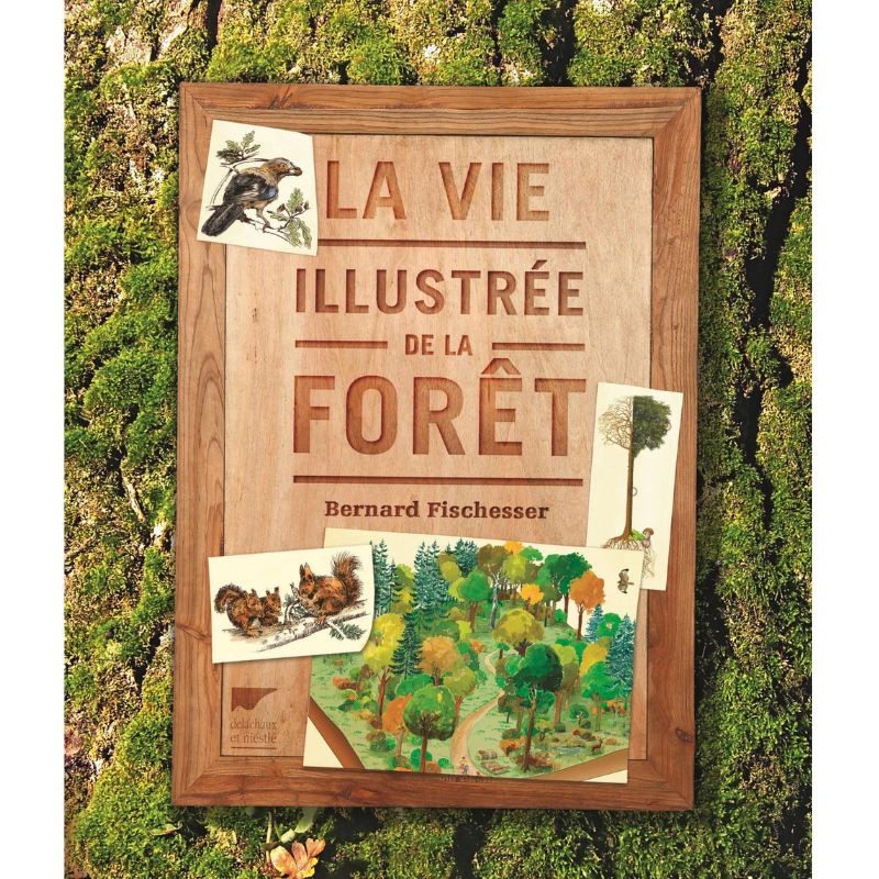 La Vie illustrée de la Forêt