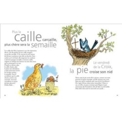 Araignée du soir, espoir - et autres dictons animaliers incertains