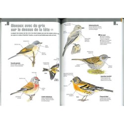 Les Oiseaux des forêts par la couleur - Nouvelle édition