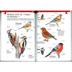 Les Oiseaux des forêts par la couleur - Nouvelle édition