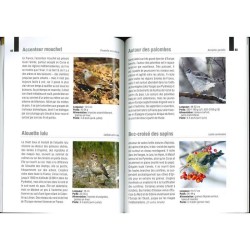 Les Oiseaux des forêts par la couleur - Nouvelle édition