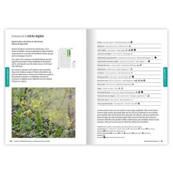 Guide d’interprétation de la Flore indicatrice en Forêt