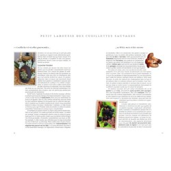 Le Petit Larousse des Cueillettes sauvages
