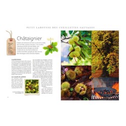 Le Petit Larousse des Cueillettes sauvages