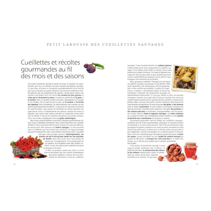 Le petit Larousse des cueillettes sauvages