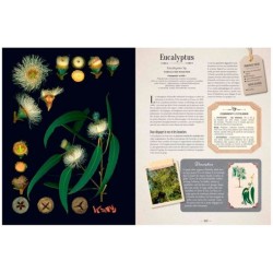 L'Herbier des plantes qui guérissent