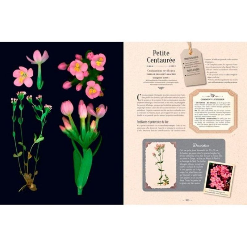 L'Herbier des plantes qui guérissent