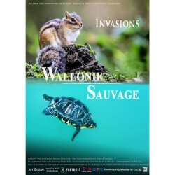 Wallonie Sauvage / Invasions - Episode 2 - DVD Wallonie Sauvage / Invasions - Episode 2 - DVD