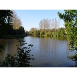 Il était une fois un vieux canal - DVD Il était une fois un vieux canal - DVD