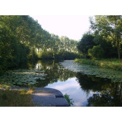 Il était une fois un vieux canal - DVD Il était une fois un vieux canal - DVD