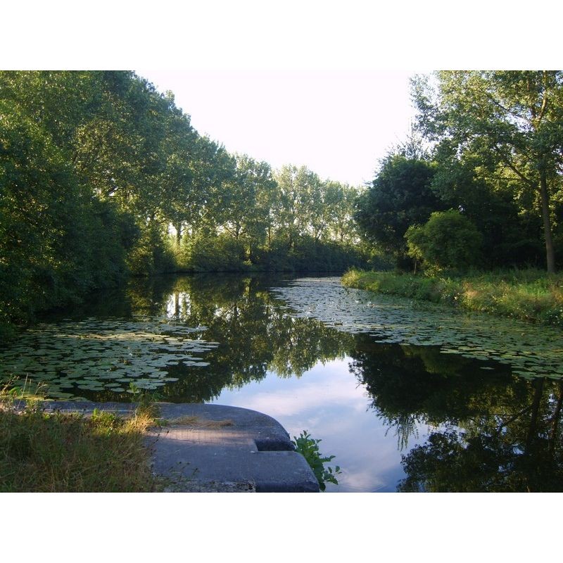Il était une fois un vieux canal - DVD