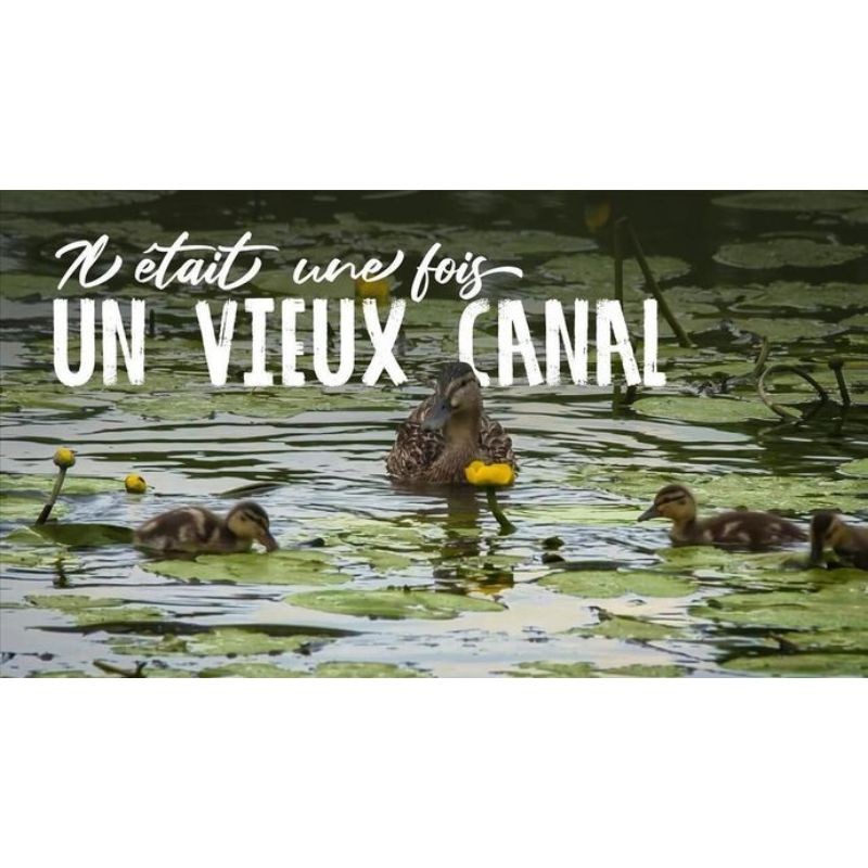 Il était une fois un vieux canal - DVD