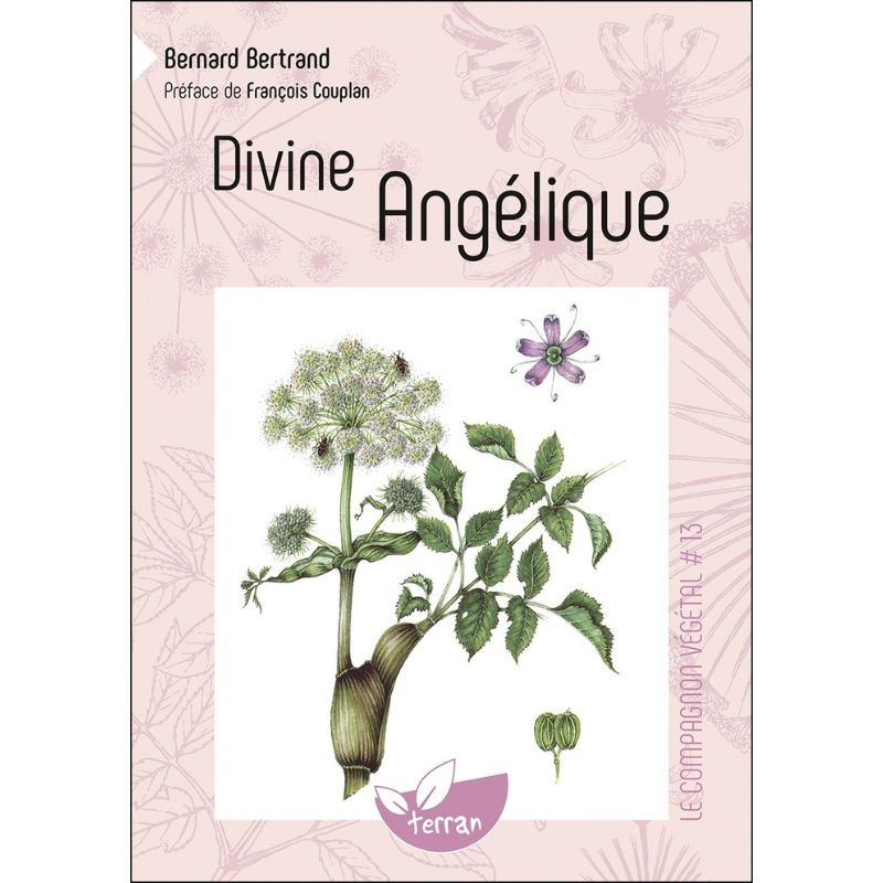 Divine Angélique - Le Compagnon végétal N°13
