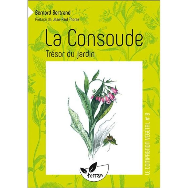 La Consoude - Trésor du jardin - Le Compagnon végétal N°8