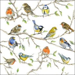 Serviettes "Oiseaux du jardin" -Table ou Cocktail