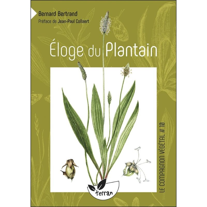 Eloge du plantain - Le Compagnon végétal N°10