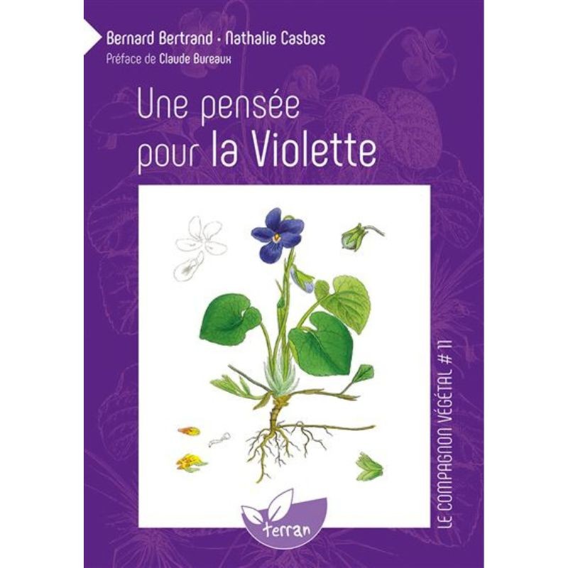 Une Pensée pour la Violette - Le Compagnon végétal N°11