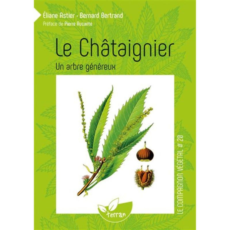 Le Châtaignier - Un arbre généreux - Le Compagnon végétal N°20
