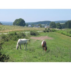 Carte de randonnée - Mini-Ardenne - Gedinne