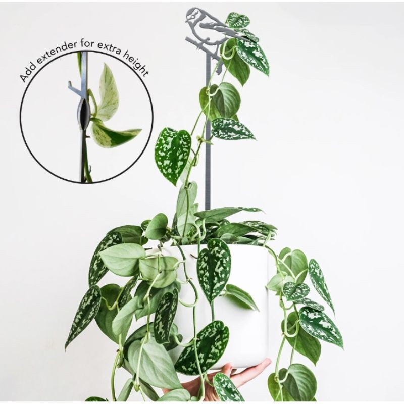 Tuteur pour plantes Mésange bleue en métal 70cm - Metalbird