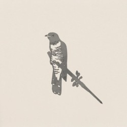 Coucou gris - Metalbird Coucou gris - Metalbird