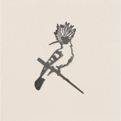 Huppe Fasciée Eurasienne - Metalbird