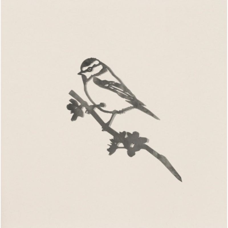 Mésange bleue - Metalbird Mésange bleue - Metalbird